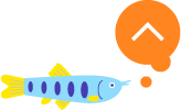 ページトップへ戻る